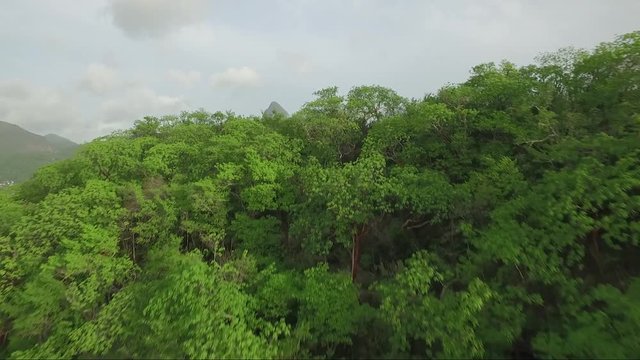 Stunning aerial shot of the Piton mountains in St Lucia