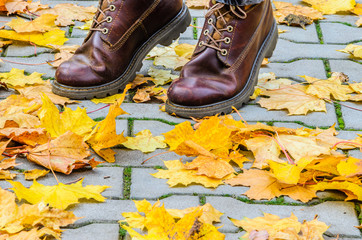 Legs in leather brown boots among fallen maple leaves on a gray concrete pavement. Walk in the autumn park.