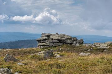 The landscape of mountain in Harz, Germany