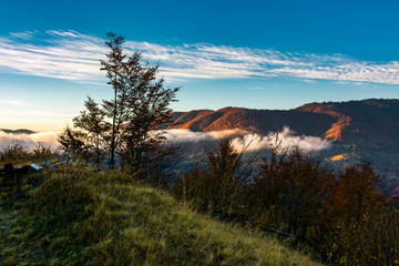 foggy sunrise in mountainous countryside. beautiful autumn scenery with trees, fences and red foliage on a hill in glowing fog under the blue sky