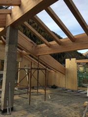 tetto carpentiere costruzione tetti edilizia case case eco case in legno 