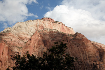 Towering Cliffs - Zion National Park