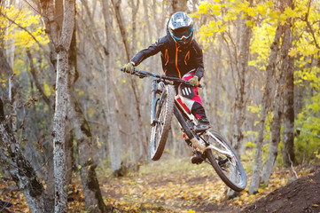 Plakat a young rider at the wheel of his mountain bike makes a trick in jumping on the springboard of the downhill mountain path in the autumn forest