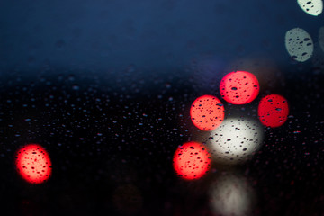 The Lights