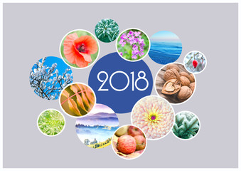 Seasonal Calendar for 2018 year. Quarterly calendar of accountant.