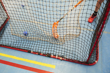 Empty Floorball goal with the balls in the net