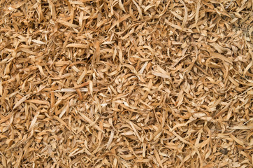 Background of  orange wood chips