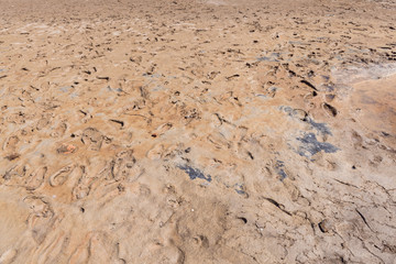 Paisaje del Delta del Ebro