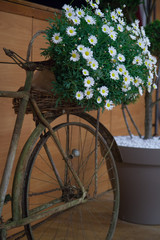 Fototapeta na wymiar Bouquet de fleurs avec vélo ancien