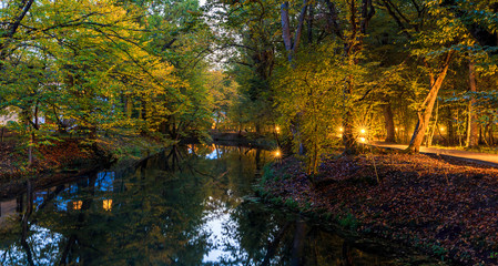 Obraz premium Autumn in the Nabran forest