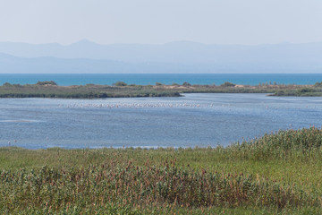 Fototapeta na wymiar Paisaje del Delta del Ebro