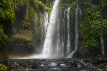 Fototapeta na wymiar big bangli waterfall in bali. indonesia