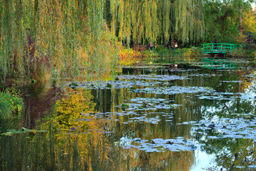 Giverny, jardin d'eau