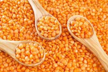 Raw red lentil - Lens culinaris
