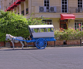 Traditional horse and carriage (calesa) in the Old City, Manila, Philippines