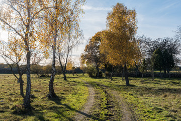 Sparkling fall season landscape
