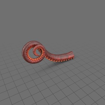 Curved octopus tentacle