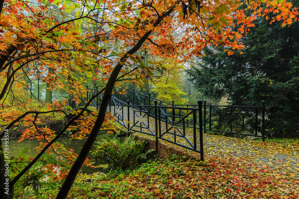 Poster scenic view of misty autumn landscape with beautiful old bridge in the garden with red maple foliage