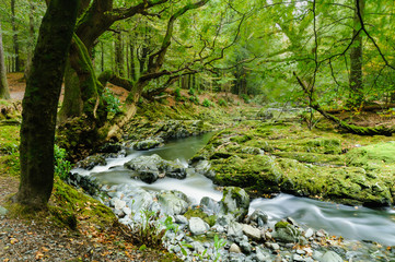 Shimna River, Newcastle, Northern Ireland. This location  featured in a number of scenes from Game of Thrones
