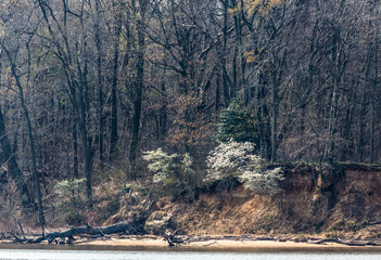 Spring at Mason Neck State Park
