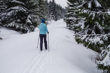 Woman cross-country skiing in the Jizera Mountains, Czech Republic