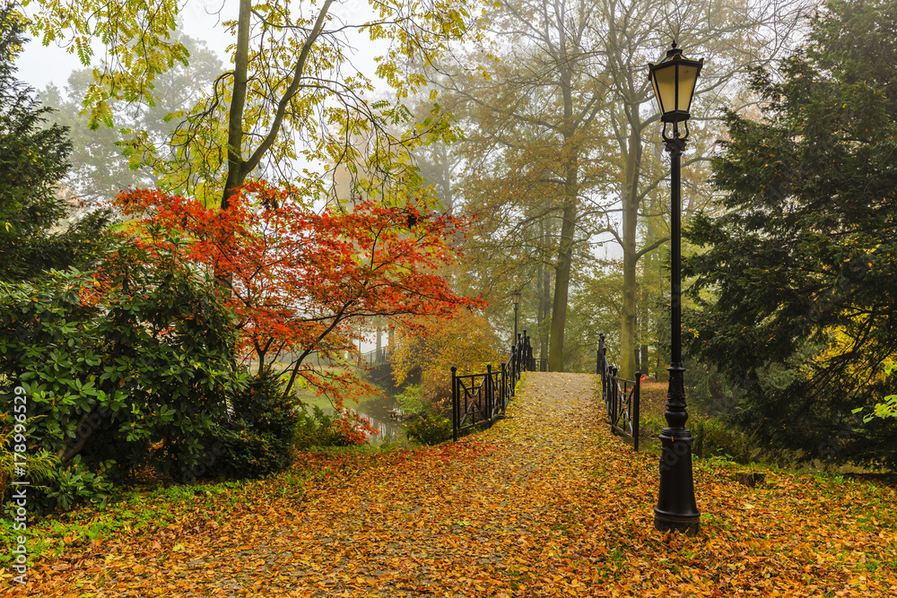 Poster scenic view of misty autumn landscape with beautiful old bridge in the garden with red maple foliage