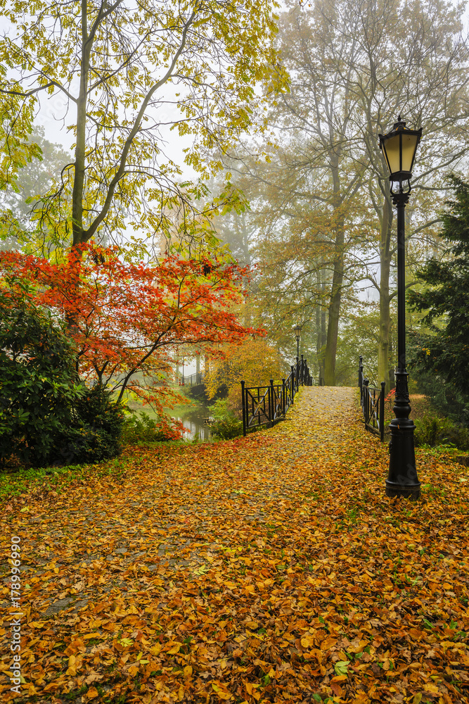 Poster scenic view of misty autumn landscape with beautiful old bridge in the garden with red maple foliage