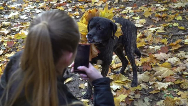 woman having fun making picture of her dog in autumn park