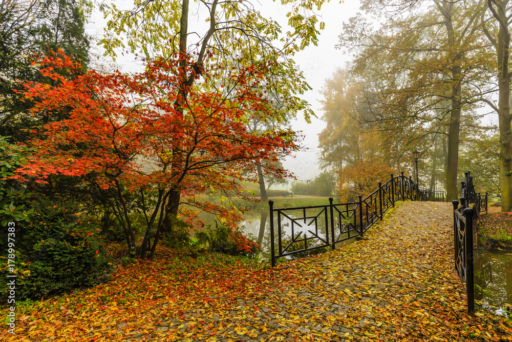 Poster scenic view of misty autumn landscape with beautiful old bridge in the garden with red maple foliage