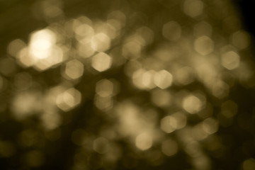 Naklejka premium Blur focus of leaf, bokeh, background texture.