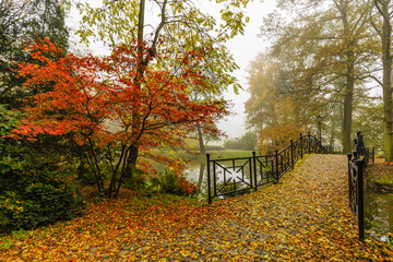 Scenic view of misty autumn landscape with beautiful old bridge in the garden with red maple foliage.