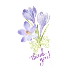 Poster Crocus Thank you! Watercolor illustration with  crocuses and handmade calligraphy on white background.