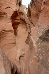 carved narrow passage through Spooky Slot Canyon
Hole in the Rock Road, Grand Staircase Escalante National Monument, Garfield County, Utah, USA