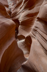 narrow carved walls through Spooky Slot Canyon
Hole in the Rock Road, Grand Staircase Escalante National Monument, Garfield County, Utah, USA