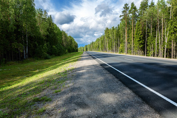 Highway along the forest