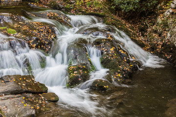 Great Smoky Mountain's Cascading Stream