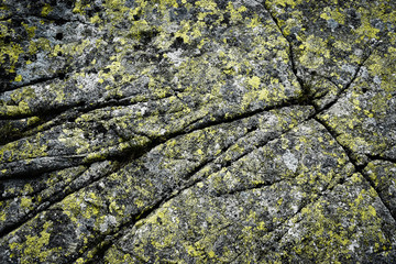 dark granite rock with yellow moss