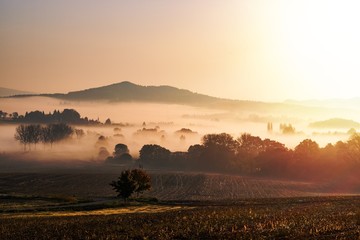 Foggy autumn morning in Bohemian Paradise, Czech republic - obrazy, fototapety, plakaty