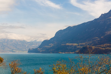 Mountain autumn trees landscape