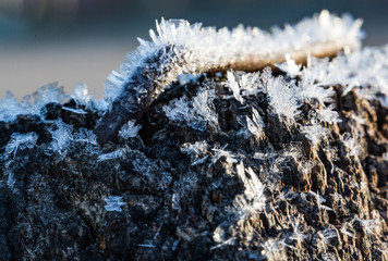 Frost on Fence