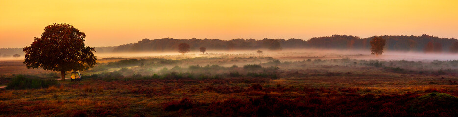 Sunrise over the heathland
