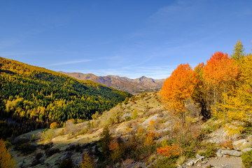 Obraz premium Paysage de montagne automnal: les Alpes françaises.
