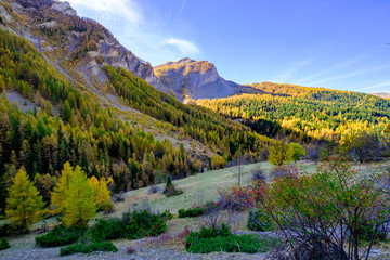 Paisage alpin en automne. Les montagnes, la for&ecirc;t.