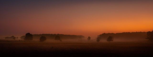 Sunrise over the heathland