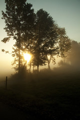 Fototapeta na wymiar Sun rays through the fog