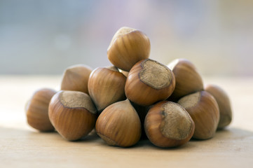 Hazel nuts in hard shells, pile on wooden table