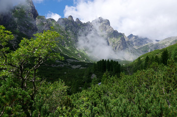 Mala studena dolina hiking trail in High Tatras, summer touristic season, wild nature, touristic trail © Iva