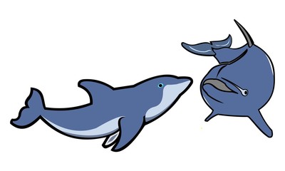 picture two dolphins