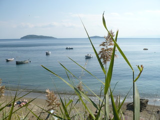Skiathos beach with boats