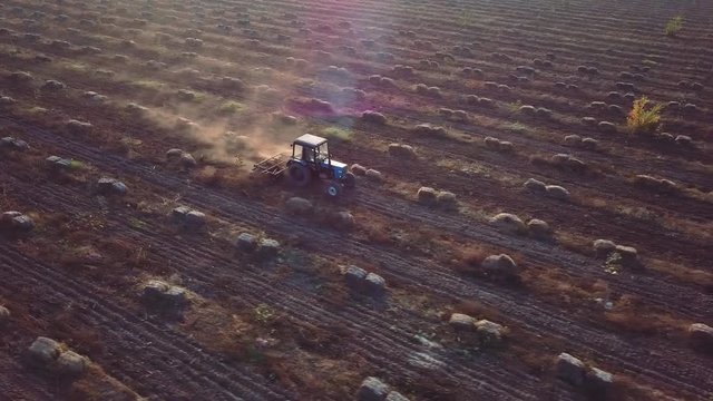 Around 180 degrees the tractor plows the field on a nut and hazel-nut farm